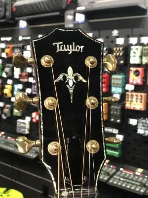 Taylor Guitars - Presentation Series PS14CE H RW 2